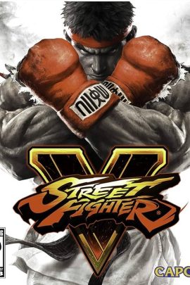 Street Fighter V