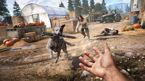 Farcry 5 - Image 2