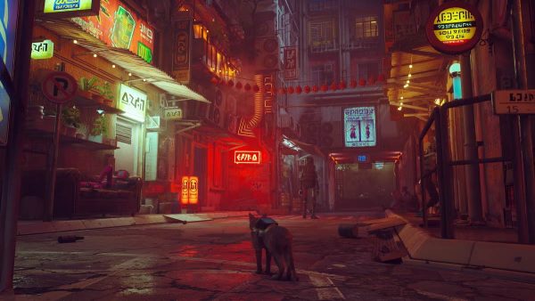 STRAY - Image 2