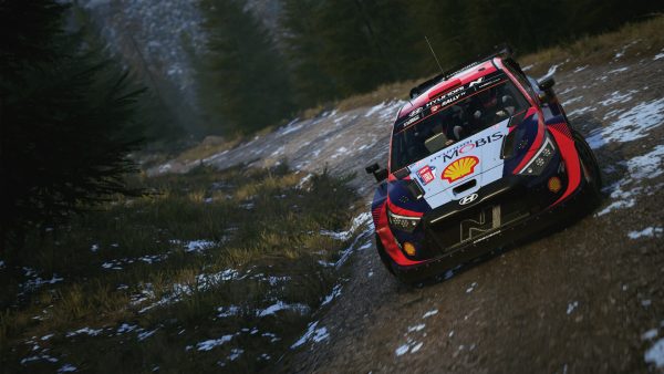 WRC 24 - Image 2